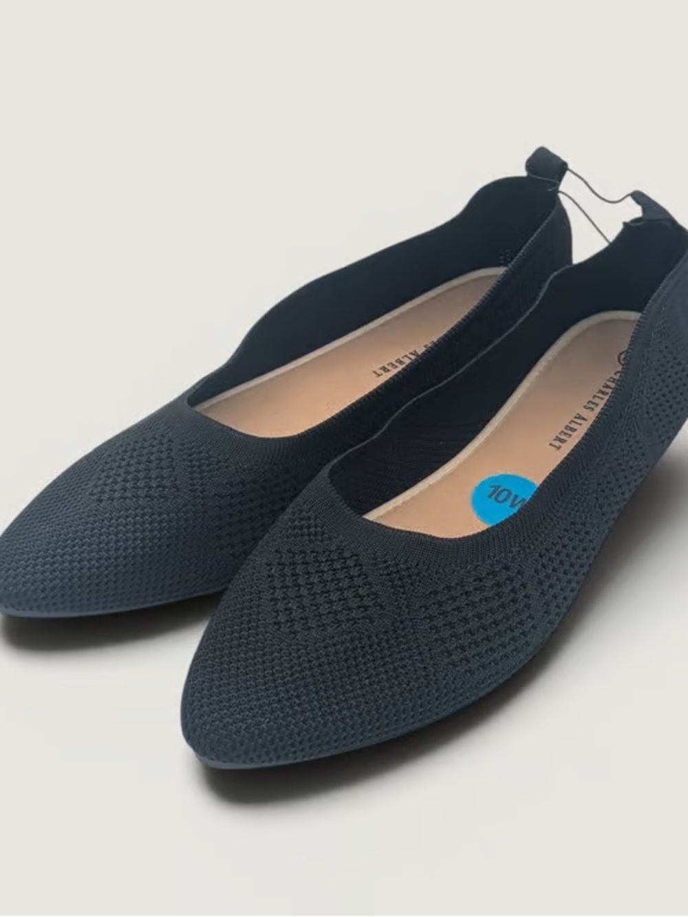 Knit Pointed Toe Ballet Flats in Black